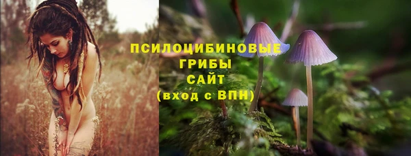MDMA Елабуга