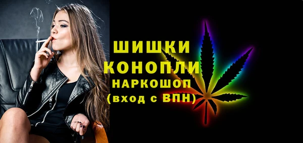 мет Ельня