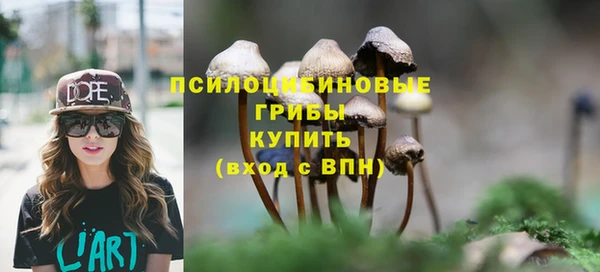 мет Ельня