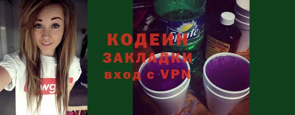 гидра Елизово