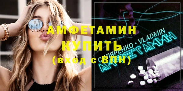гидра Елизово