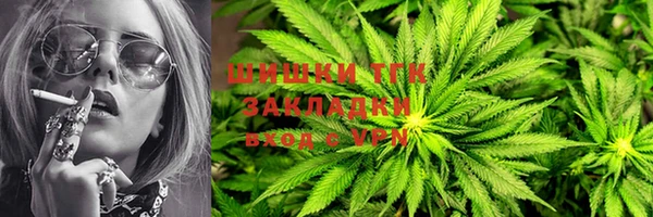 гидра Елизово