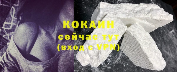 мет Ельня