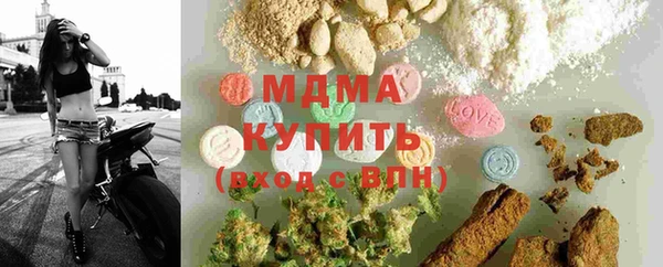 гидра Елизово
