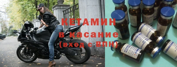гидра Елизово