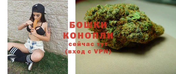 мет Ельня