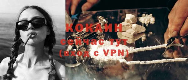 спайс Аша