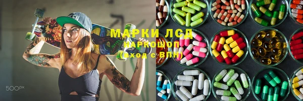 гидра Елизово