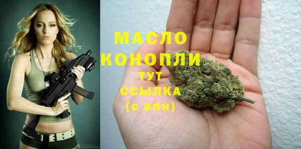 гидра Елизово