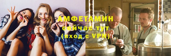 мет Ельня