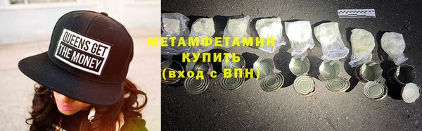 гидра Елизово