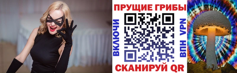 Галлюциногенные грибы Psilocybe  закладка  Исилькуль 